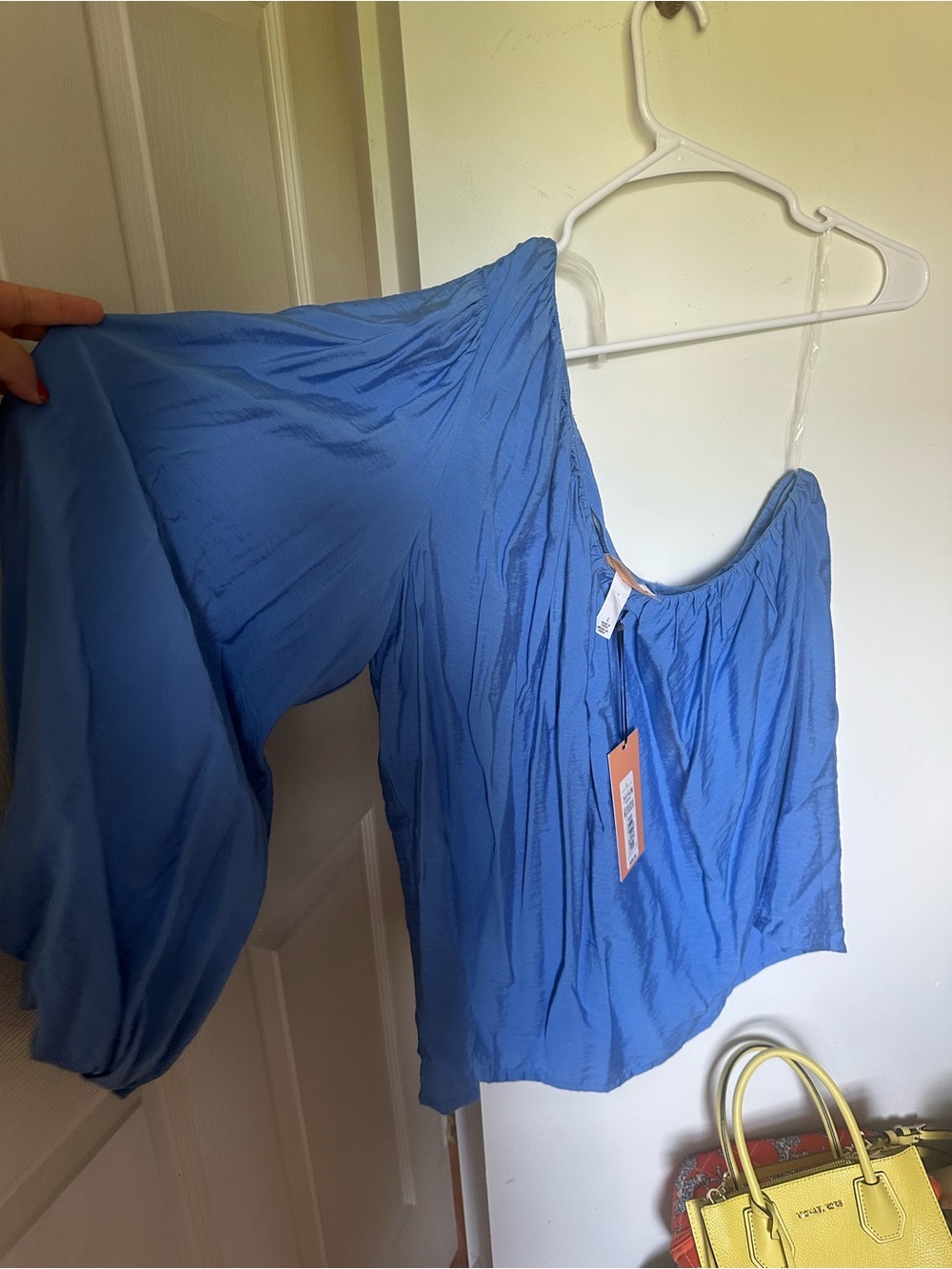 Target Blue Off-the-Shoulder Balloon Sleeve Blouse
